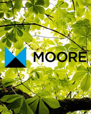Click here to follow our Moore Forest grow!